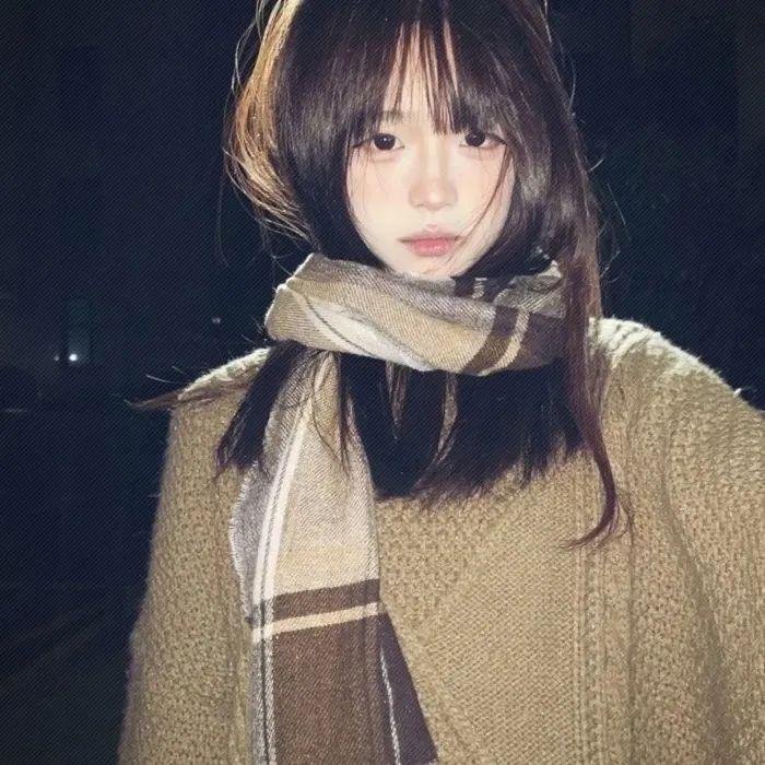 少年林肯